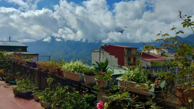 Nguyen Dang Guesthouse – Photos 7